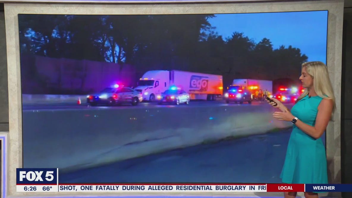 Driver struck, killed after fleeing officer on I-495: police